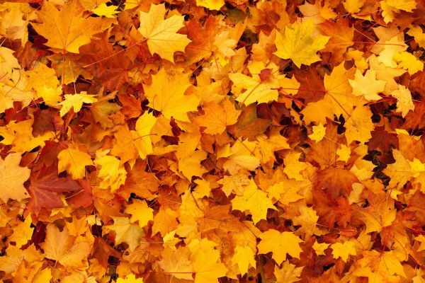 8 tipp, hogy ősszel és télen is megőrizzük az egészségünket