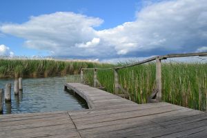 Magyar Tavak Fesztiválja három napon át a Tisza-tónál