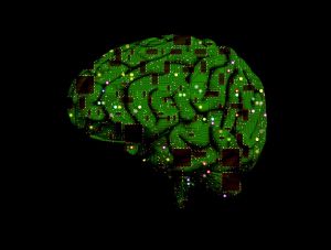 Eddig ismeretlen emberi agysejt típust fedeztek fel