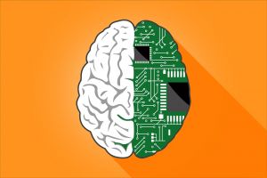 Az emberi agy és a mesterséges intelligencia működését kutatják az MTA kutatói