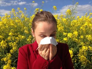 Az éghajlatváltozással eddig ismeretlen allergének és kórokozók jelennek meg