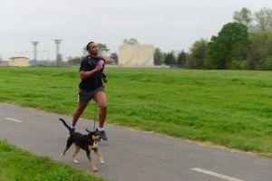 Hogy fuss kutyával? 7 hasznos tanács a kellemes futásért