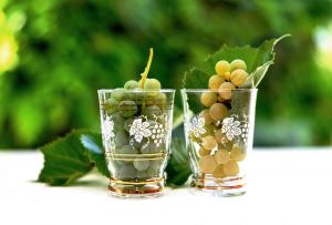 A mádi bor egészségre gyakorolt hatását kutatja a Debreceni Egyetem