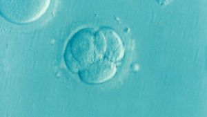 24 év után lefagyasztott embrióból született gyermek