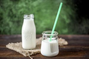 A tejbe kerülő aflatoxin csökkentéséről kezdődött kutatás