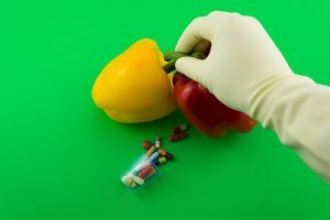 Honnan ismered fel a GMO élelmiszereket?